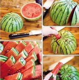 西瓜吃瓜小说在线阅读,一场穿越时空的奇幻之旅