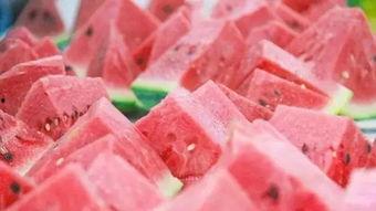 每日吃瓜大赛今日吃瓜,今日瓜田盛宴，瓜香四溢