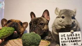 阿呆的吃瓜,娱乐圈幕后那些事儿