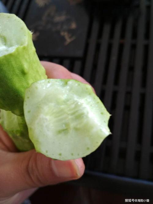 晚上吃白玉瓜,营养美味，健康养生新选择