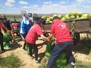 村口安心吃瓜者,村口安心吃瓜者的日常趣事