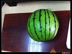 52吃瓜网地址,带你领略网络吃瓜文化的魅力